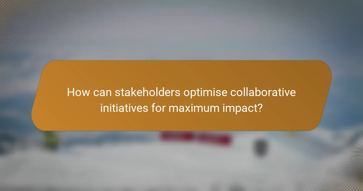 How can stakeholders optimise collaborative initiatives for maximum impact?