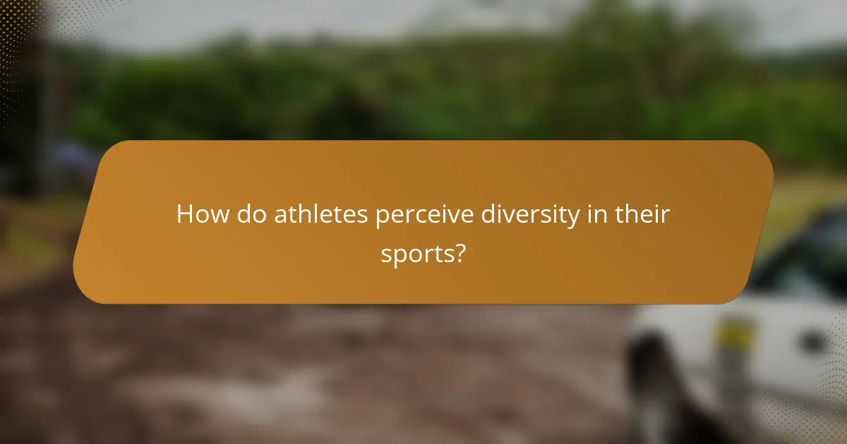 How do athletes perceive diversity in their sports?