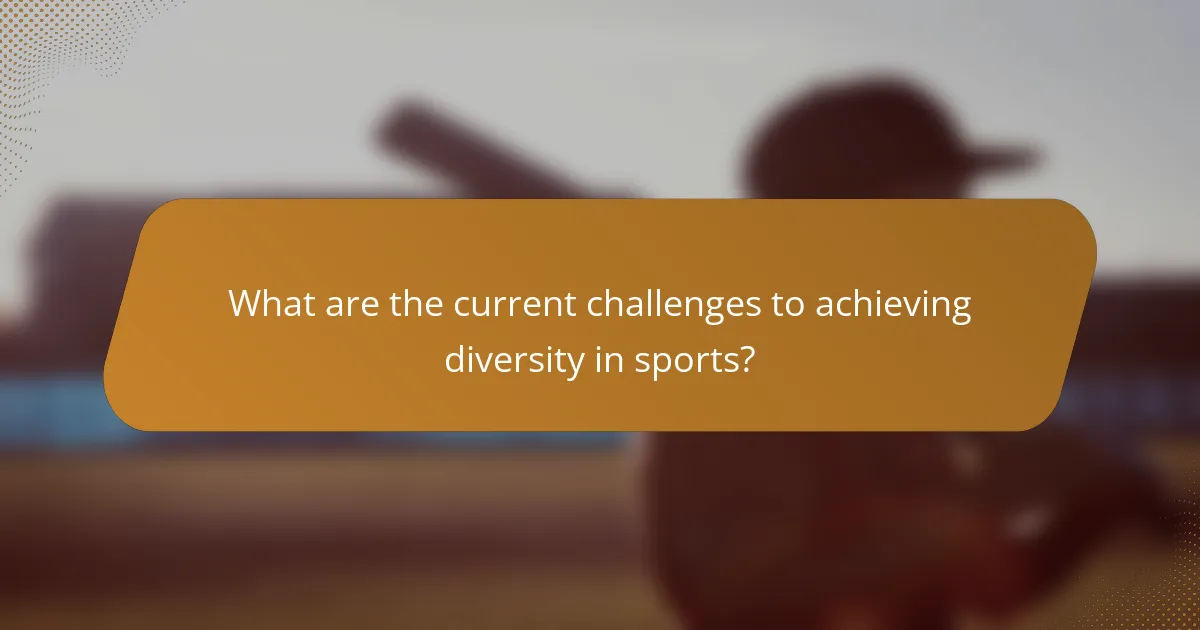 What are the current challenges to achieving diversity in sports?