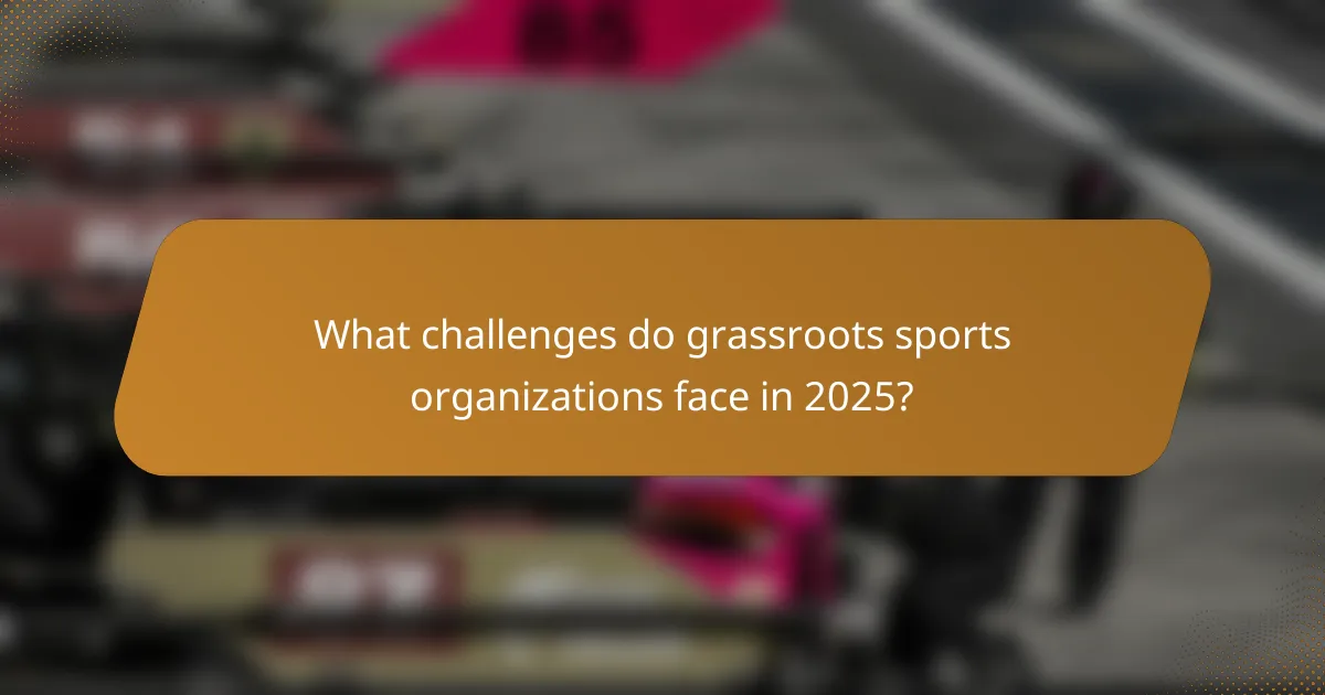 What challenges do grassroots sports organizations face in 2025?