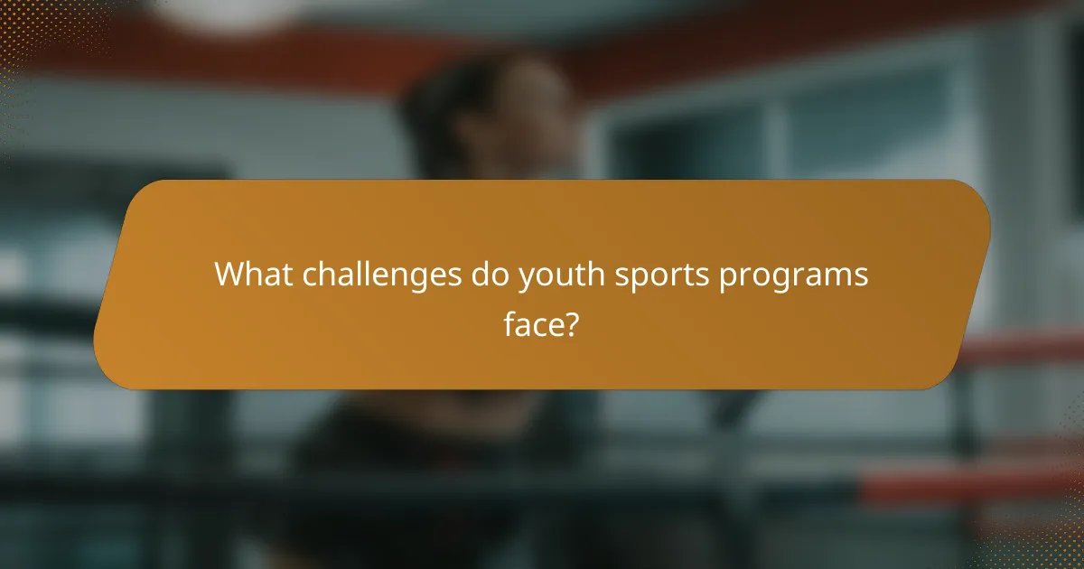 What challenges do youth sports programs face?