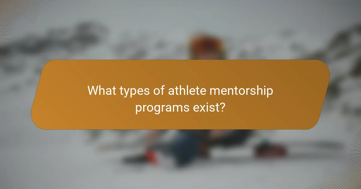 What types of athlete mentorship programs exist?