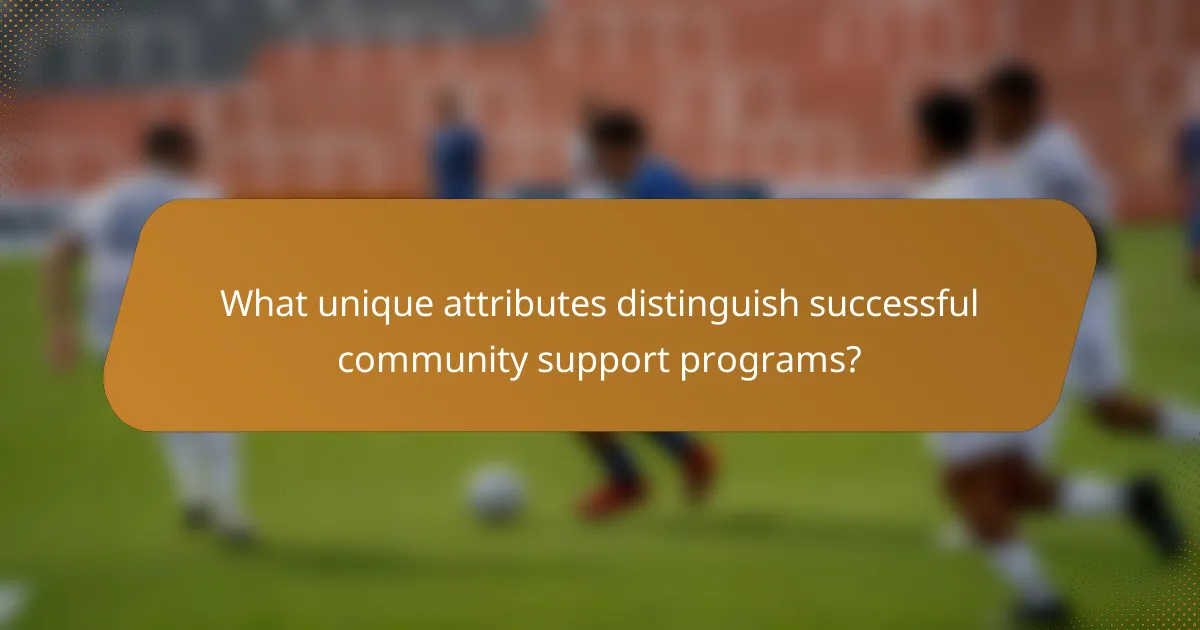 What unique attributes distinguish successful community support programs?